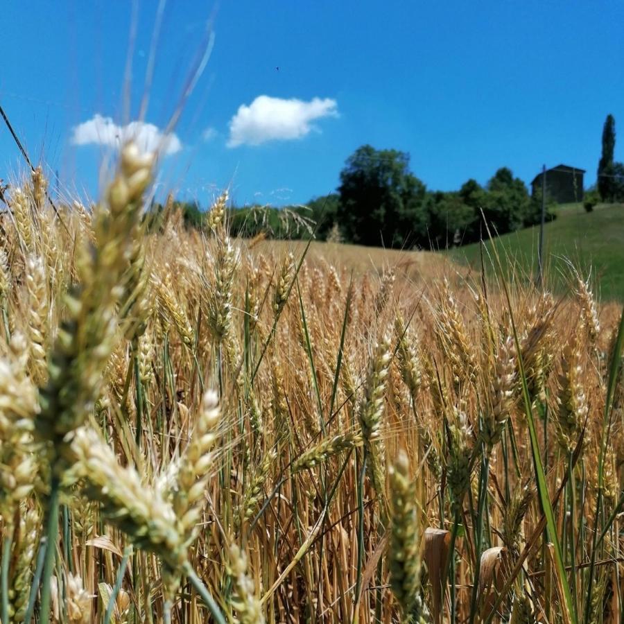 GuigliaAz. Agr. Agriturismo Nonna Nella别墅 外观 照片